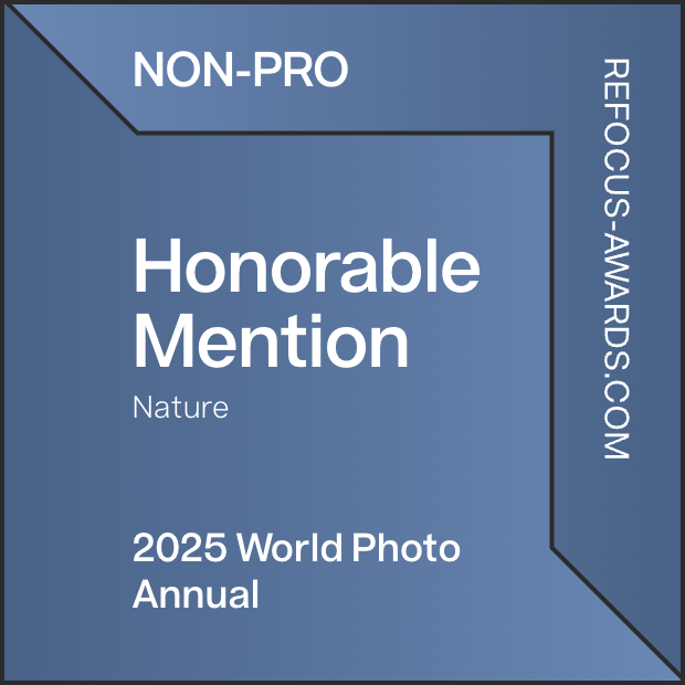 Refocus Awards 2025 — Honorable Mention, Aerial